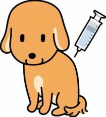 狂犬病とは