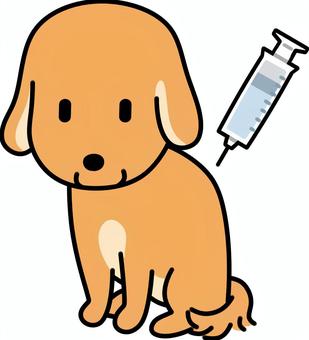 狂犬病とは
