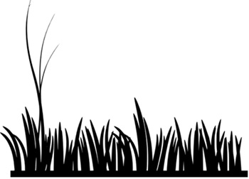 毒を持つ生き物